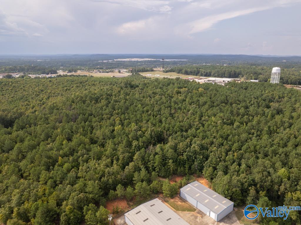 92 Acres Industrial Drive, Lincoln, Alabama image 9