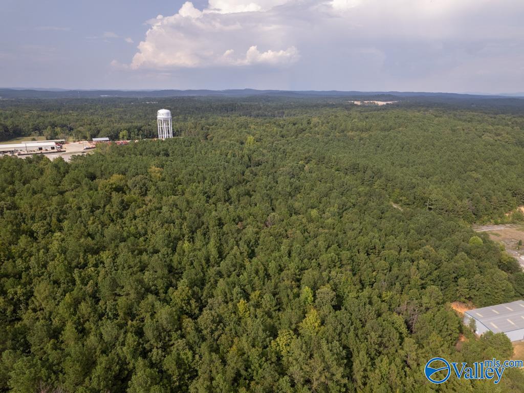 92 Acres Industrial Drive, Lincoln, Alabama image 10