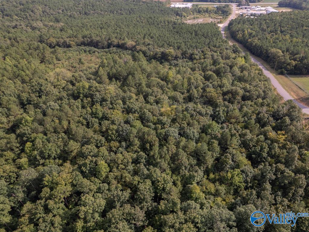 92 Acres Industrial Drive, Lincoln, Alabama image 5