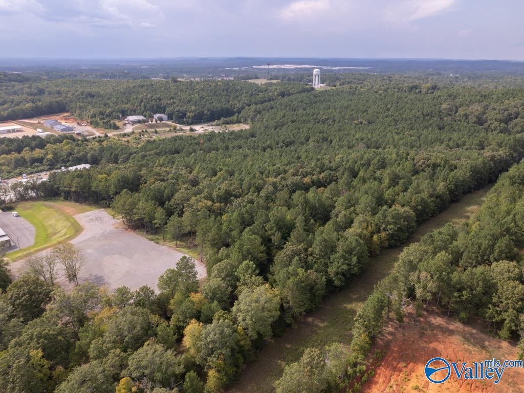 92 Acres Industrial Drive, Lincoln, Alabama image 8