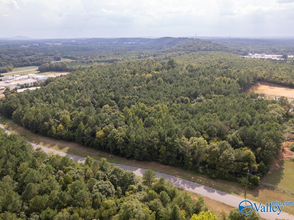 92 Acres Industrial Drive, Lincoln, Alabama image 2