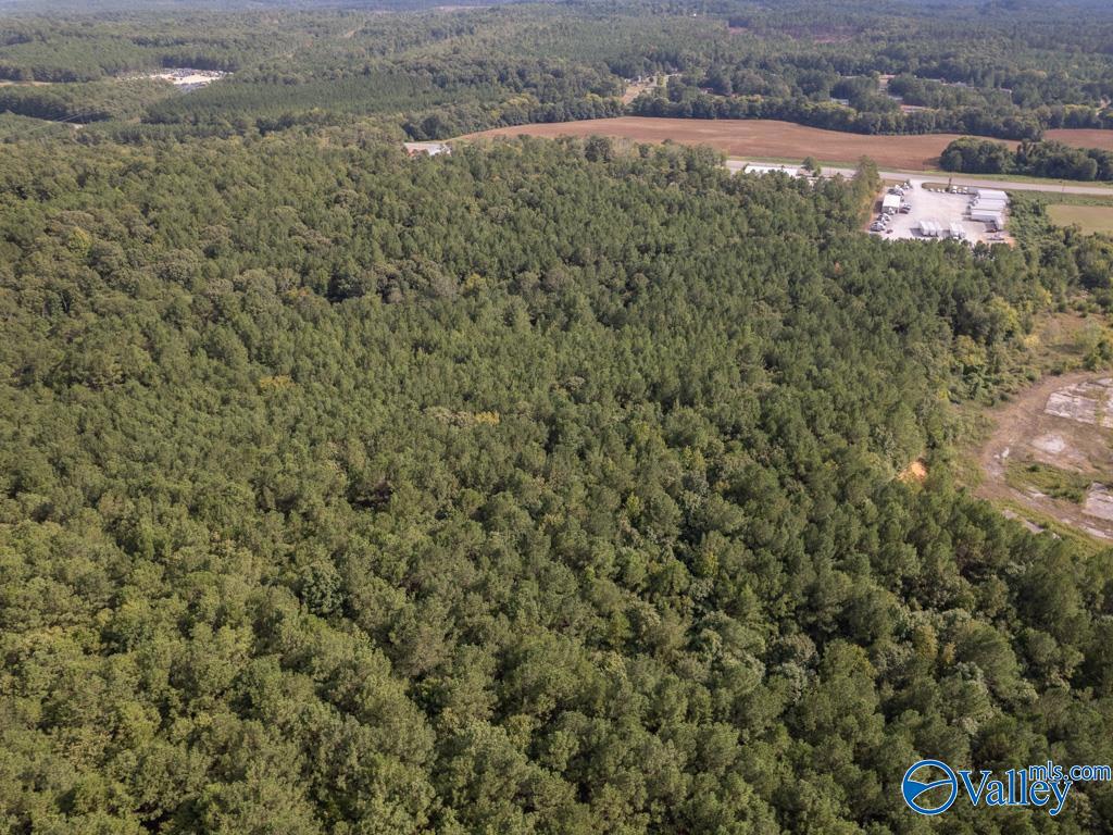 92 Acres Industrial Drive, Lincoln, Alabama image 7