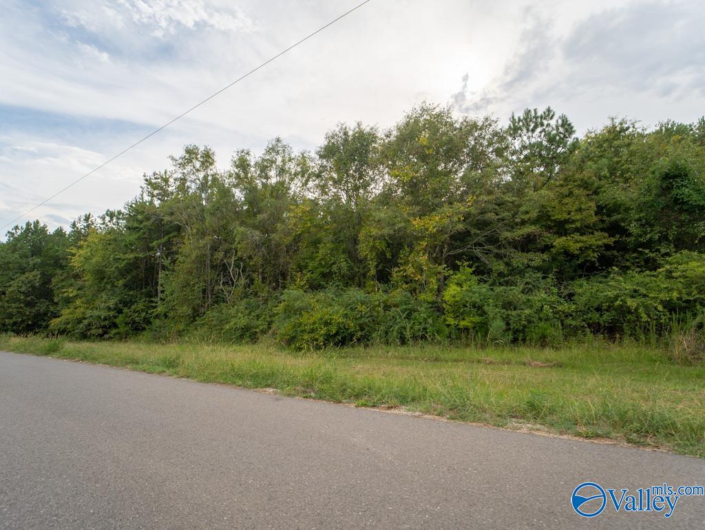 92 Acres Industrial Drive, Lincoln, Alabama image 12