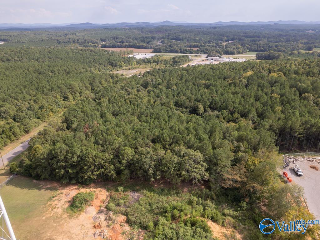 92 Acres Industrial Drive, Lincoln, Alabama image 3