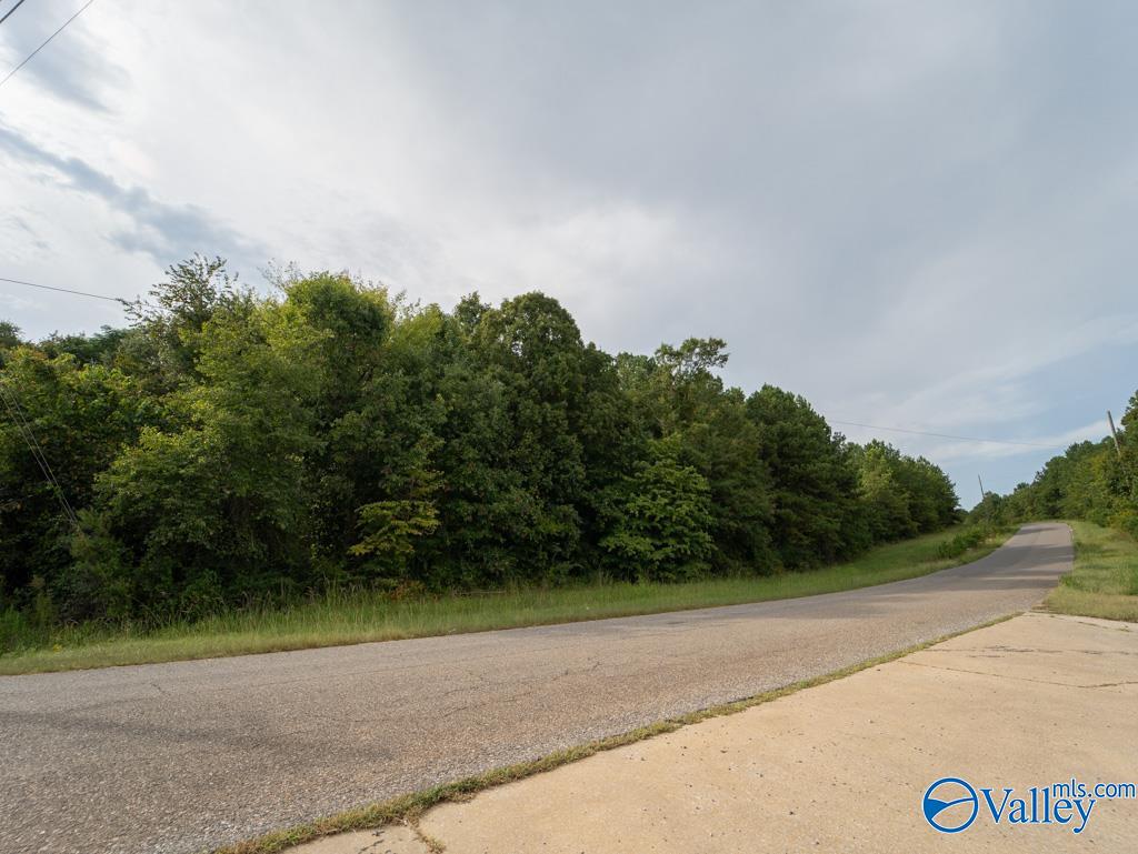 92 Acres Industrial Drive, Lincoln, Alabama image 11