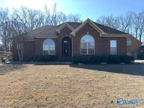 Photo of 17550 Clearview Street, Athens, AL 35611 (MLS # 21909253)