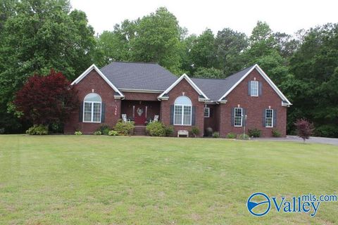 Photo of 152 West Drive, Fyffe, AL 35971 (MLS # 21916922)
