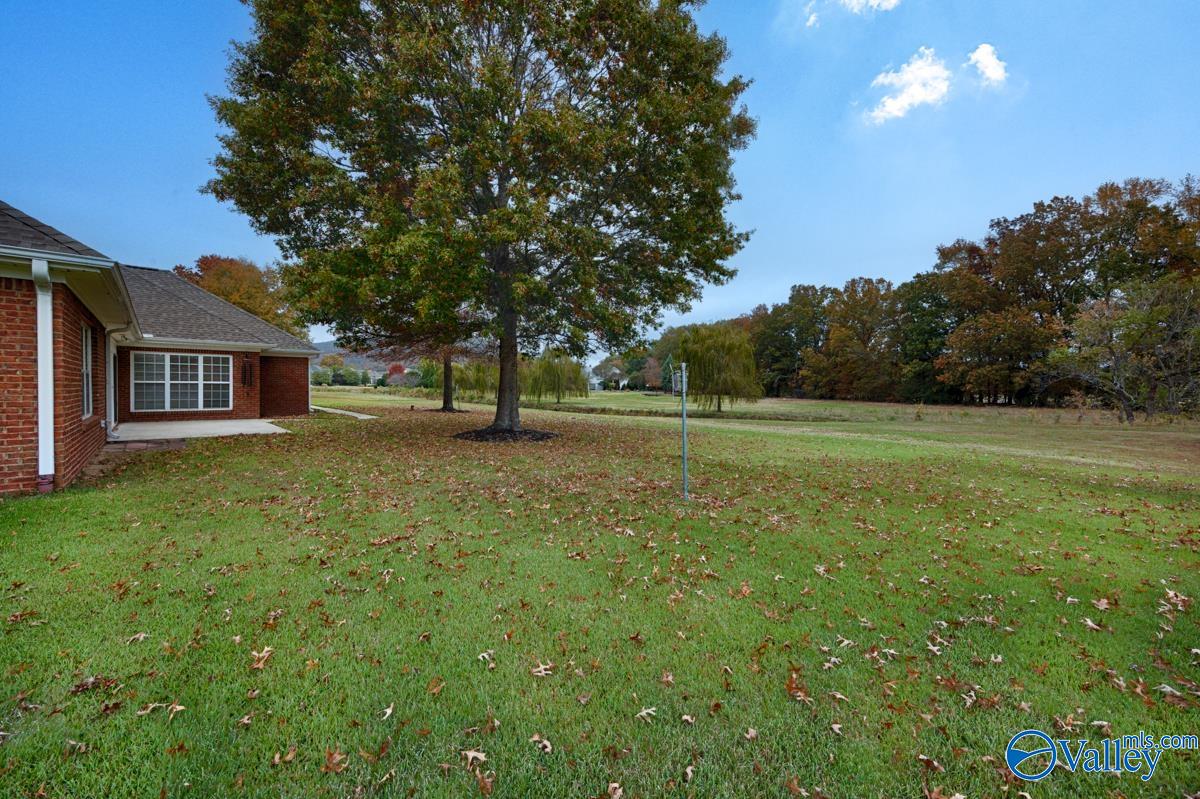 3023 Flint Mill Run, Owens Cross Roads, Alabama image 38