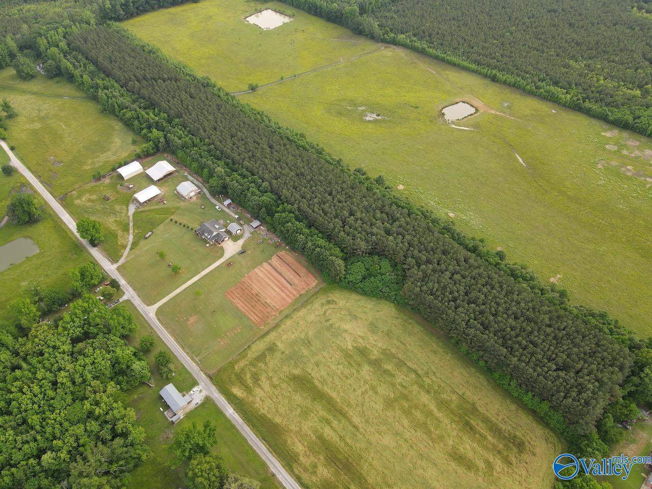 18.5 ACRES County Road 381, Hillsboro, Alabama image 2