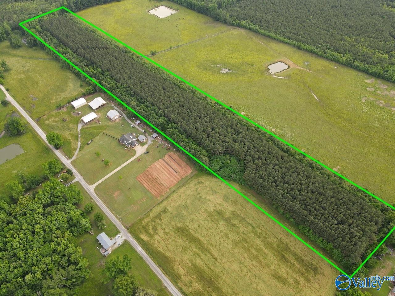 18.5 ACRES County Road 381, Hillsboro, Alabama image 4