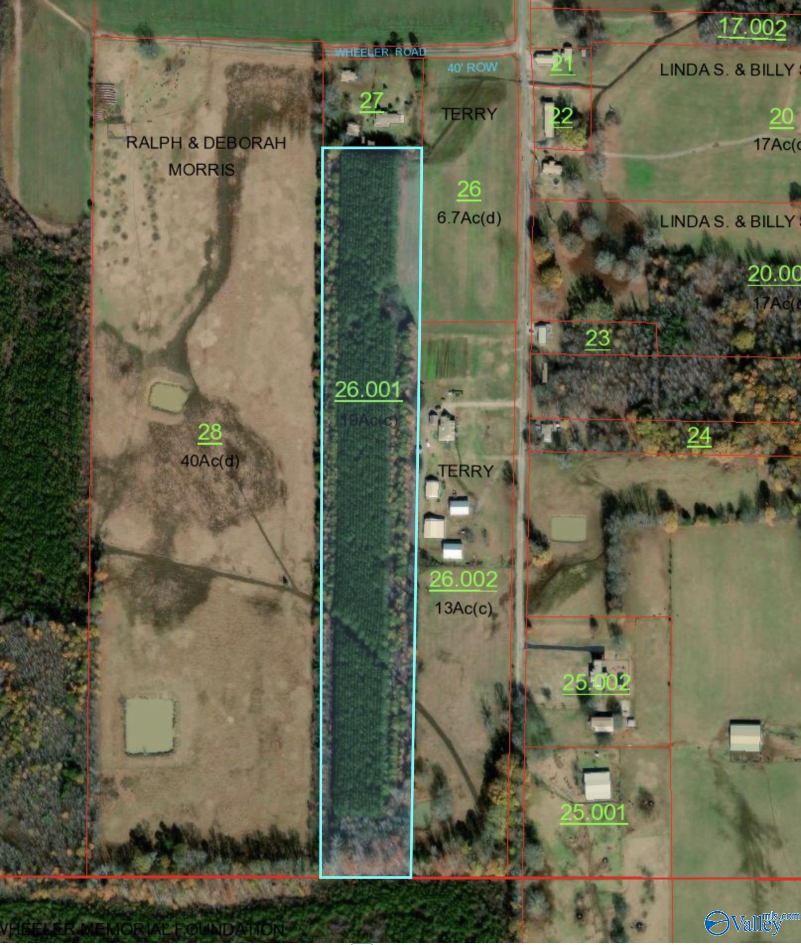 18.5 ACRES County Road 381, Hillsboro, Alabama image 5