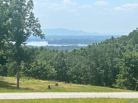 228 COUNTY ROAD 767, CEDAR BLUFF, AL 35959 - Image 53f93cff1eb9afa0bfd0a6c5cb58511a/2802142481