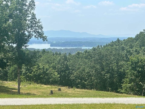 Vacant Land For Sale - LOT 228 County Road 767 #228<br/> Cedar Bluff, AL 35959