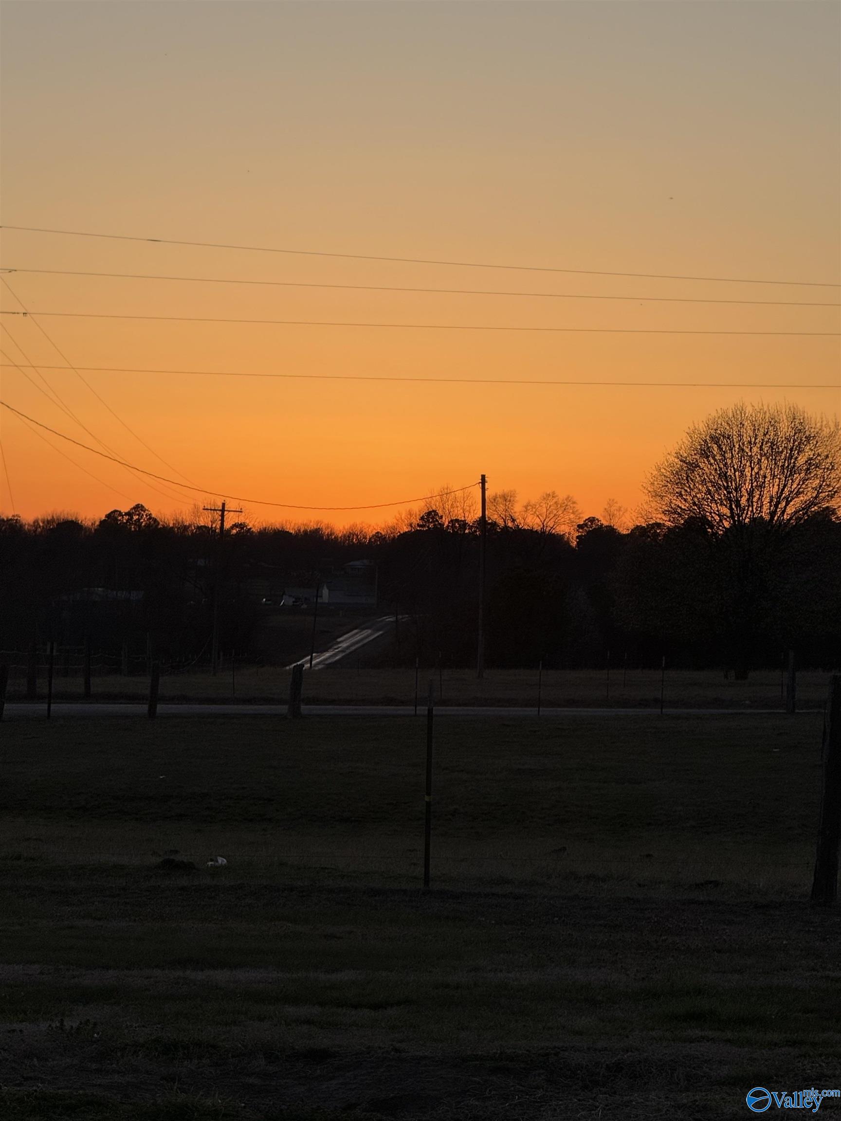 4769 County Road 124, Dutton, Alabama image 27