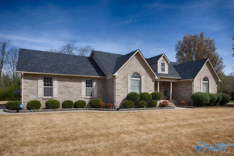 Photo of 27877 J B Magnusson Drive, Toney, AL 35773 (MLS # 21912603)