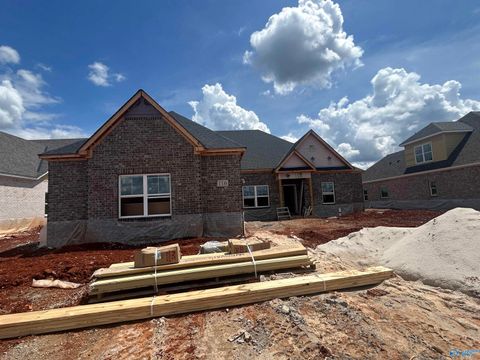 Homes For Sale - 116 Ron Drive<br/> Meridianville, AL 35759