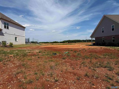 Photo of 83 Dylan Road, Madison, AL 35756 (MLS # 21917053)