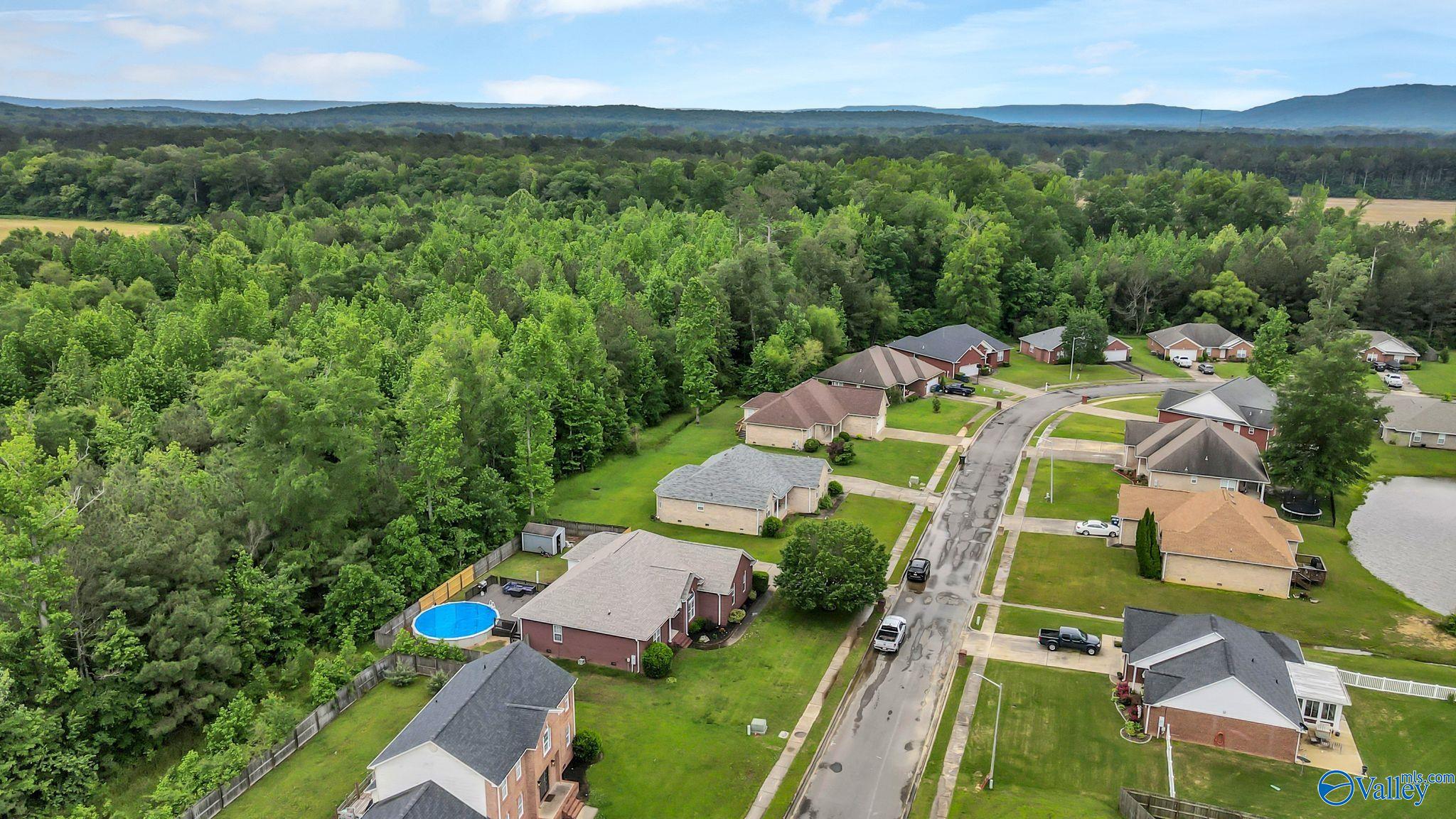 228 Chestnut Oak Circle, Owens Cross Roads, Alabama image 9