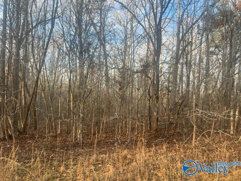 3 +/-Acres County Road 137, Cedar Bluff, Alabama image 3