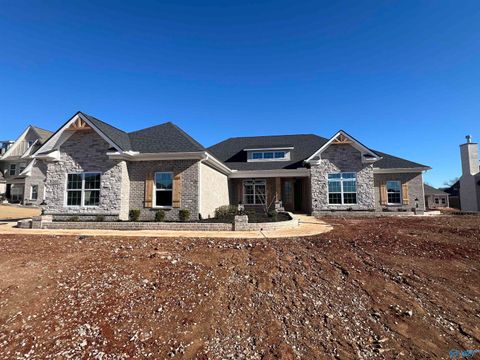 Homes For Sale - 122 Josie Loop Trail<br/> Toney, AL 35773