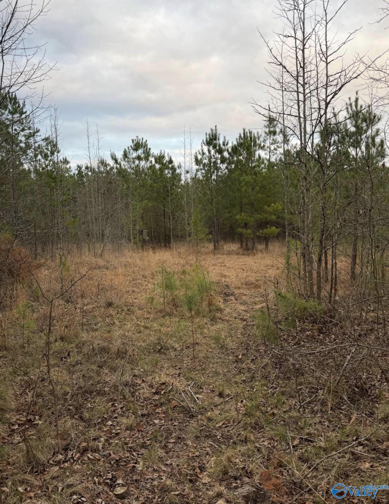 66 Acres County Road 865