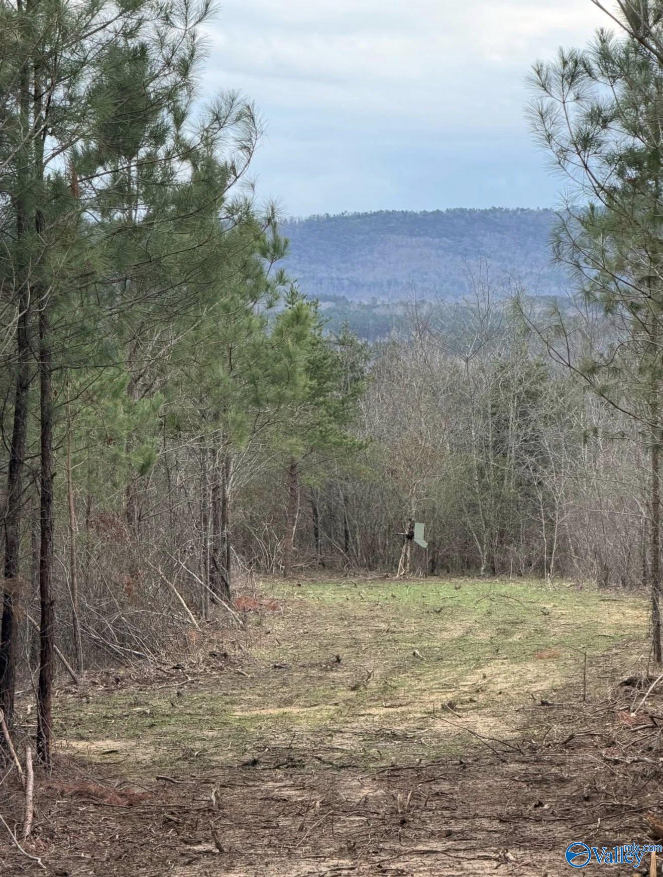 66 Acres County Road 865