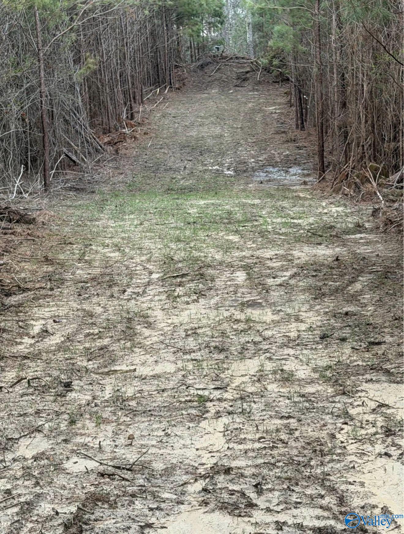 66 Acres County Road 865