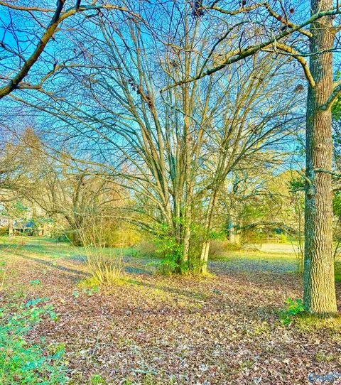 Vacant Land For Sale - LOT 3 Corsbie Street<br/> Hartselle, AL 35640