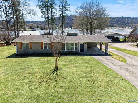 Photo of 3825 Meadow Wood Circle, Guntersville, AL 35976 (MLS # 21912434)