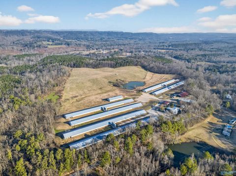 760 Burton Loop Road Altoona AL 35952