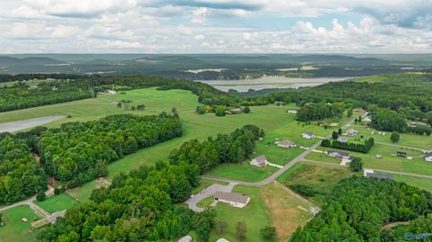 Homes For Sale - 251 Morgan Lane<br/> Section, AL 35771