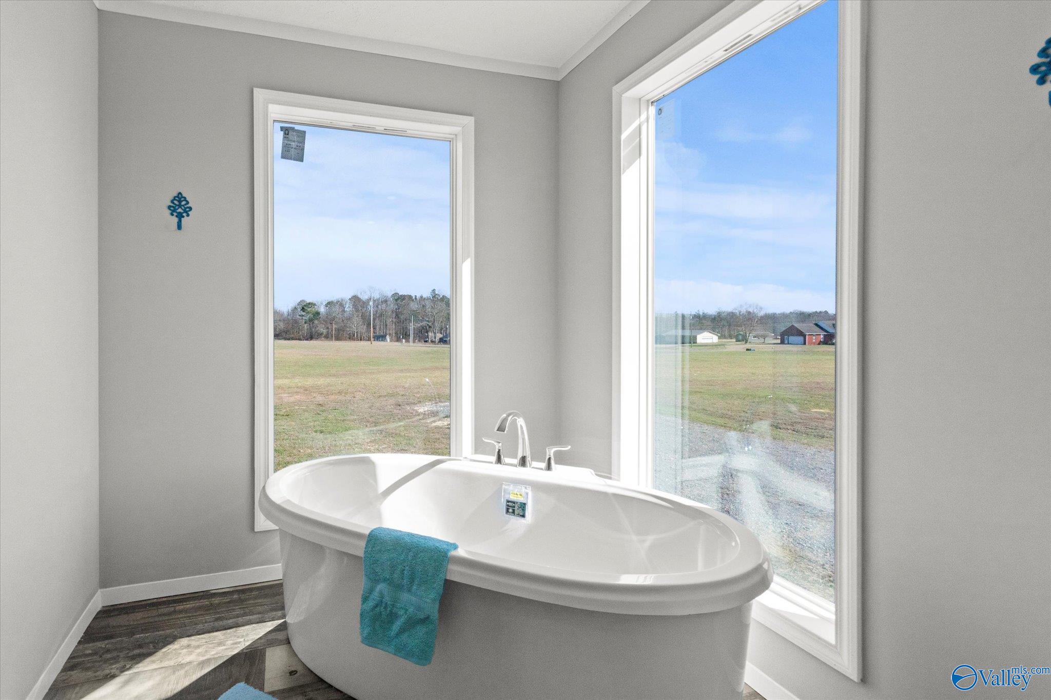 106 County Road 732, Ider, Alabama image 16