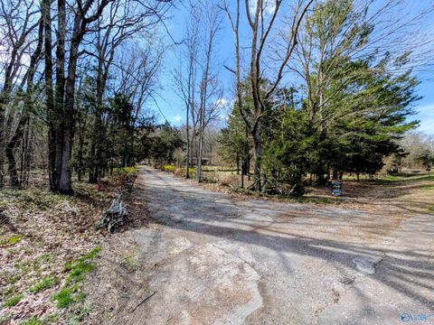 Photo of 1818 West Lacon Road, Falkville, AL 35622 (MLS # 21911653)