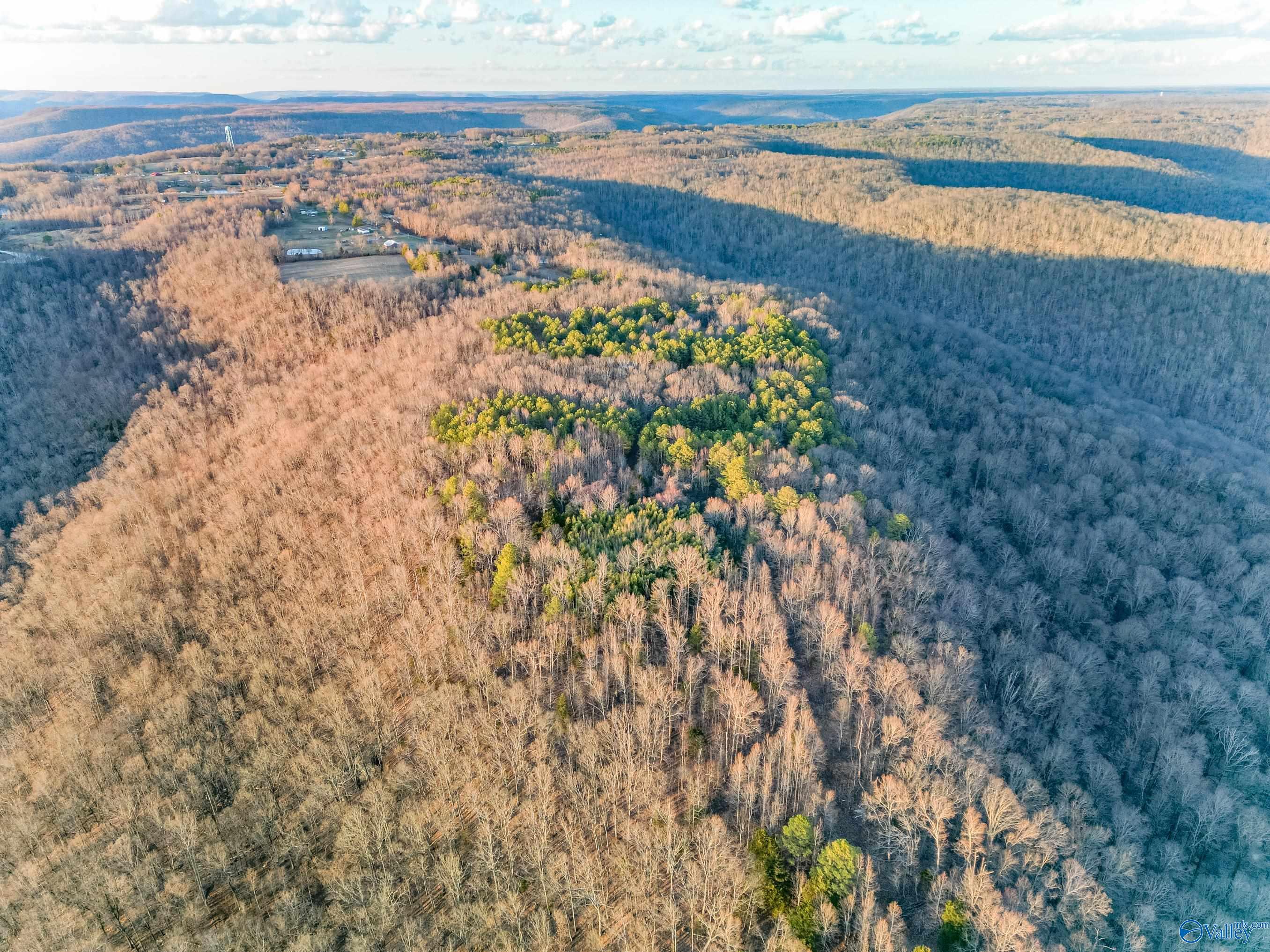 1150 Pleasant Grove Road, Woodville, Alabama image 8