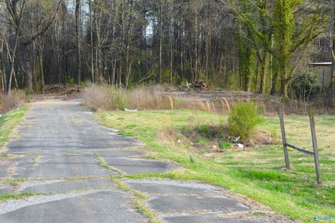 Vacant Land For Sale - 1.38 Highway 72<br/> Jackson County, Scottsboro, AL 35769
