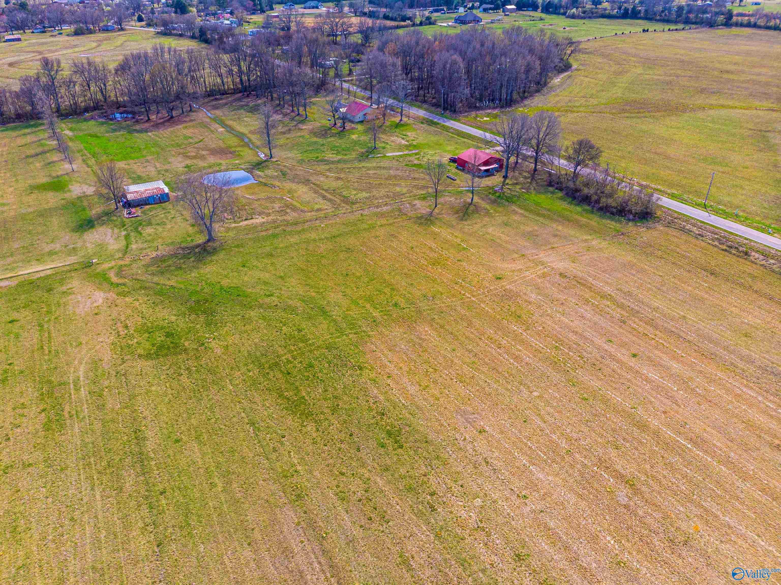 Tract 5 County Road 51, Rogersville, Alabama image 15
