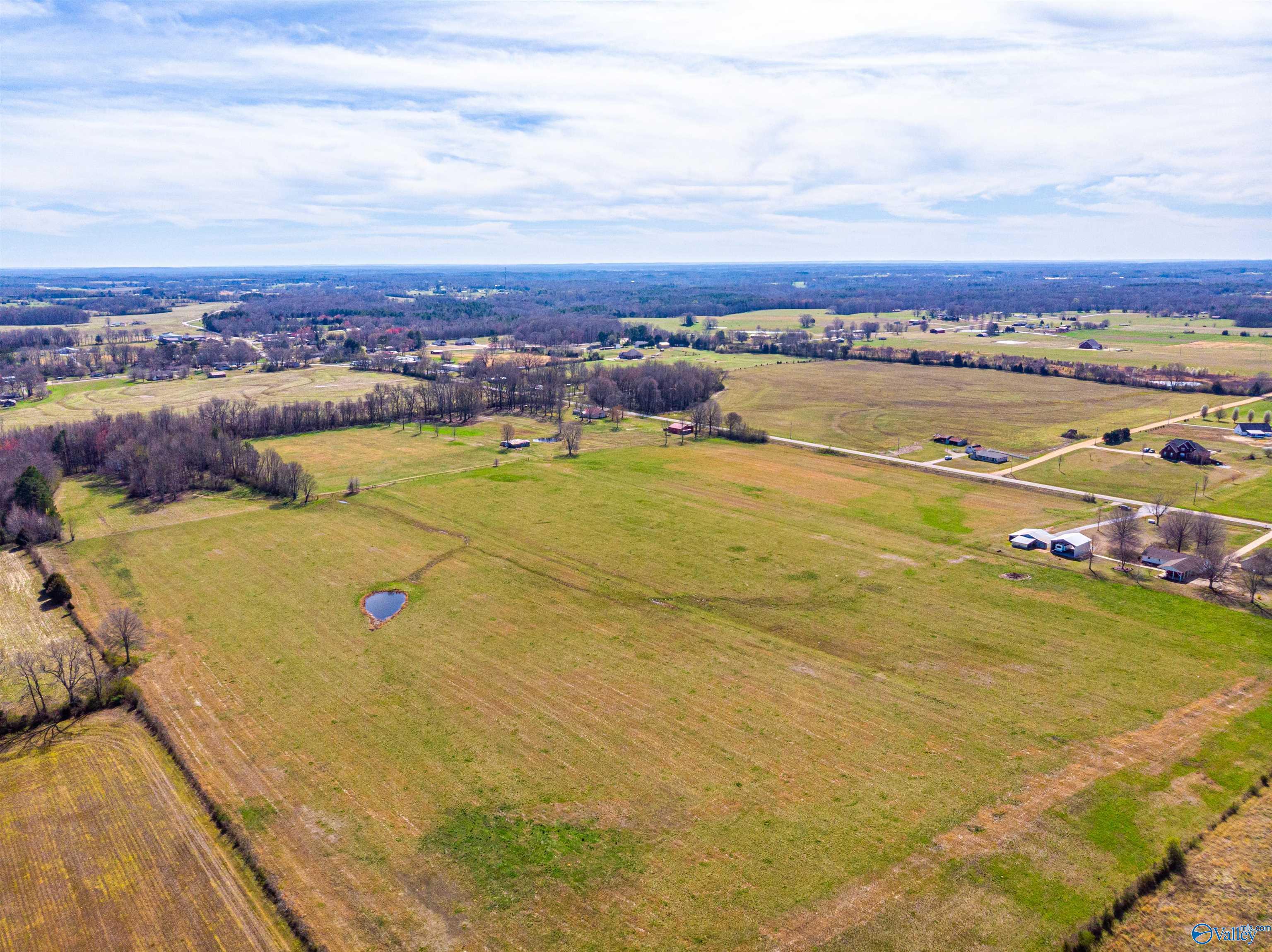 Tract 5 County Road 51, Rogersville, Alabama image 12