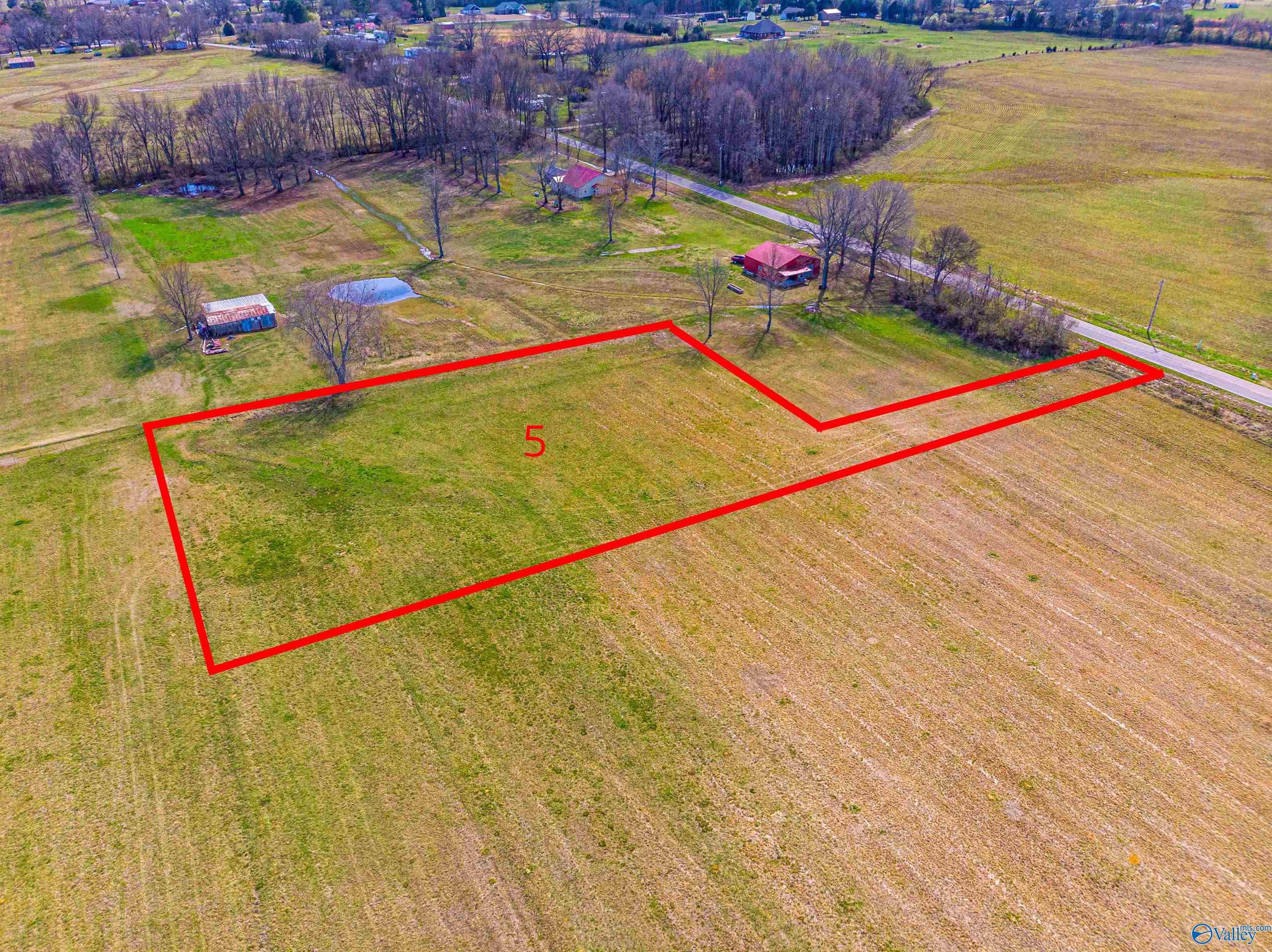 Tract 5 County Road 51, Rogersville, Alabama image 14