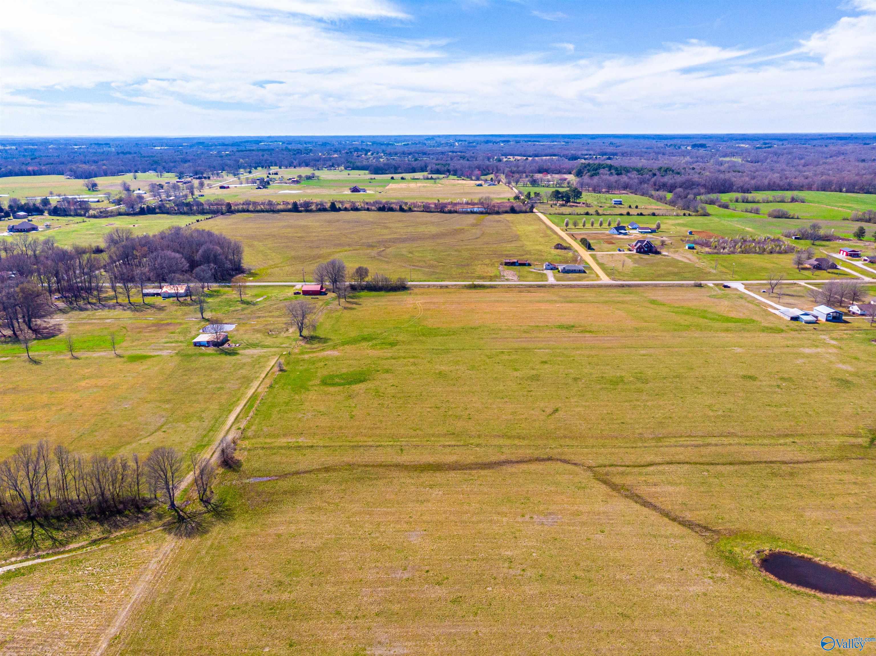 Tract 5 County Road 51, Rogersville, Alabama image 10
