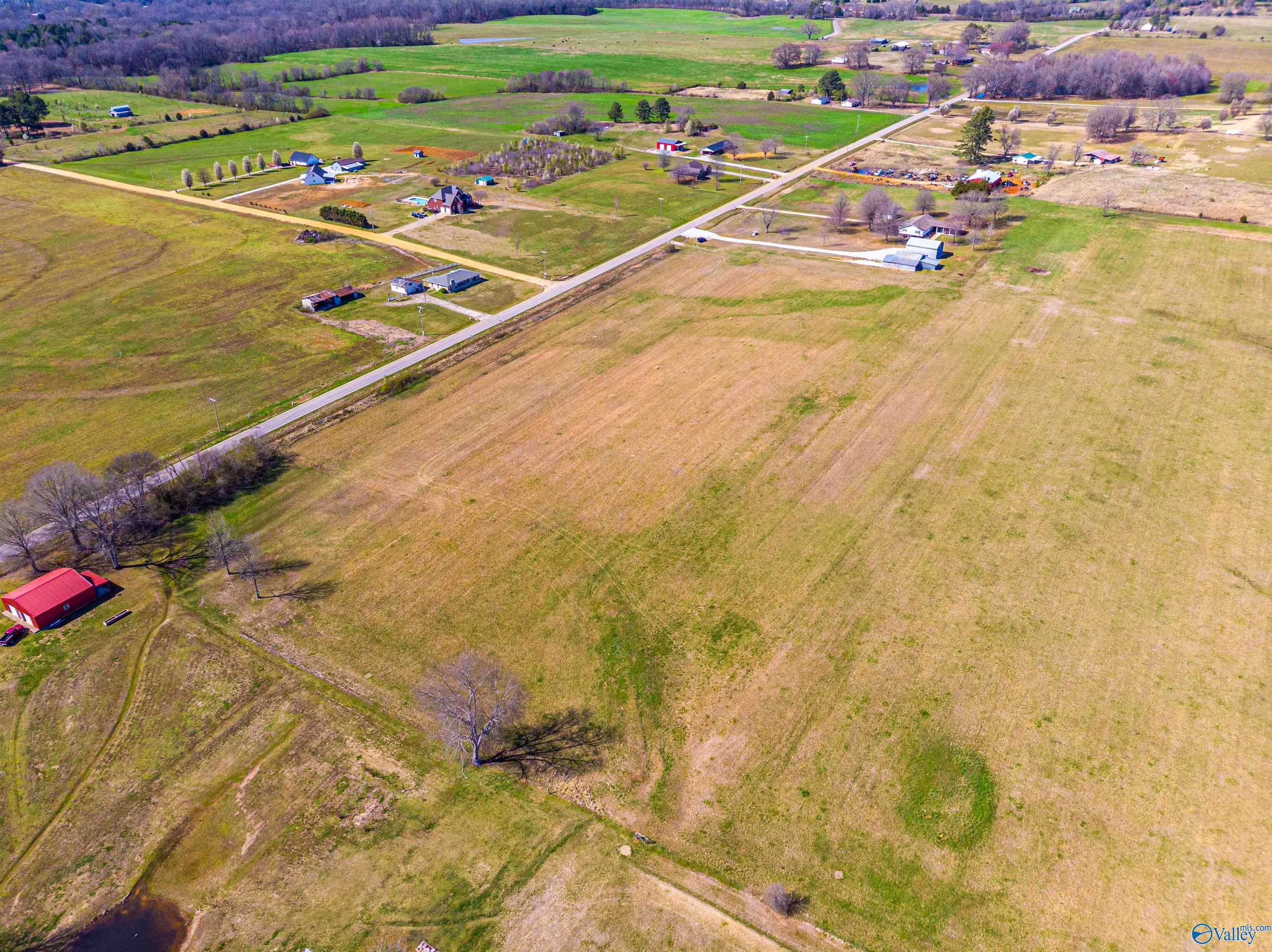 Tract 5 County Road 51, Rogersville, Alabama image 8