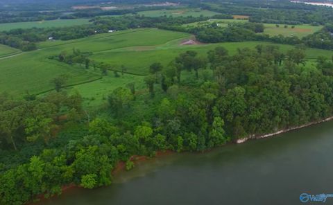 Vacant Land For Sale - 1263 Mccutcheon Loop Road<br/> Laceys Spring, AL 35754