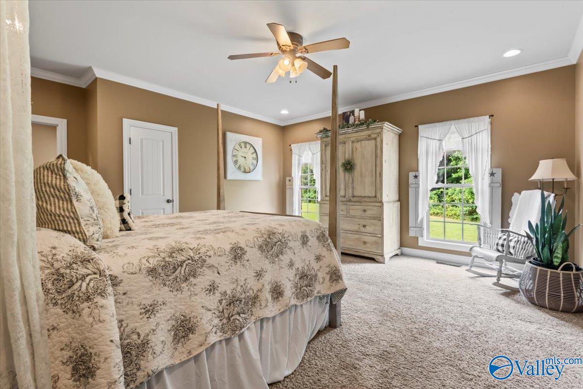 1081 County Road 190, Moulton, Alabama image 13