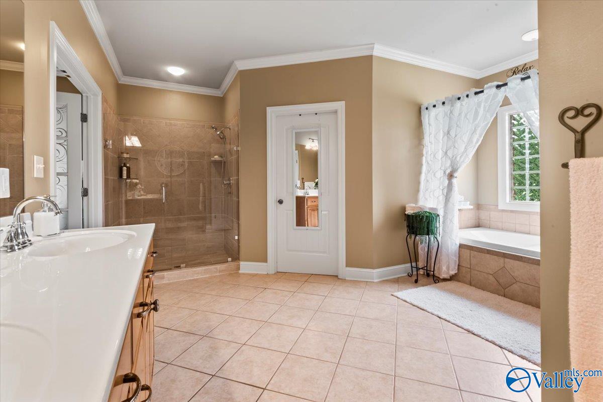1081 County Road 190, Moulton, Alabama image 15