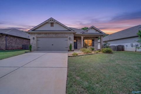 Homes For Sale - 185 Rosemary Ayers Drive<br/> Madison, AL 35756