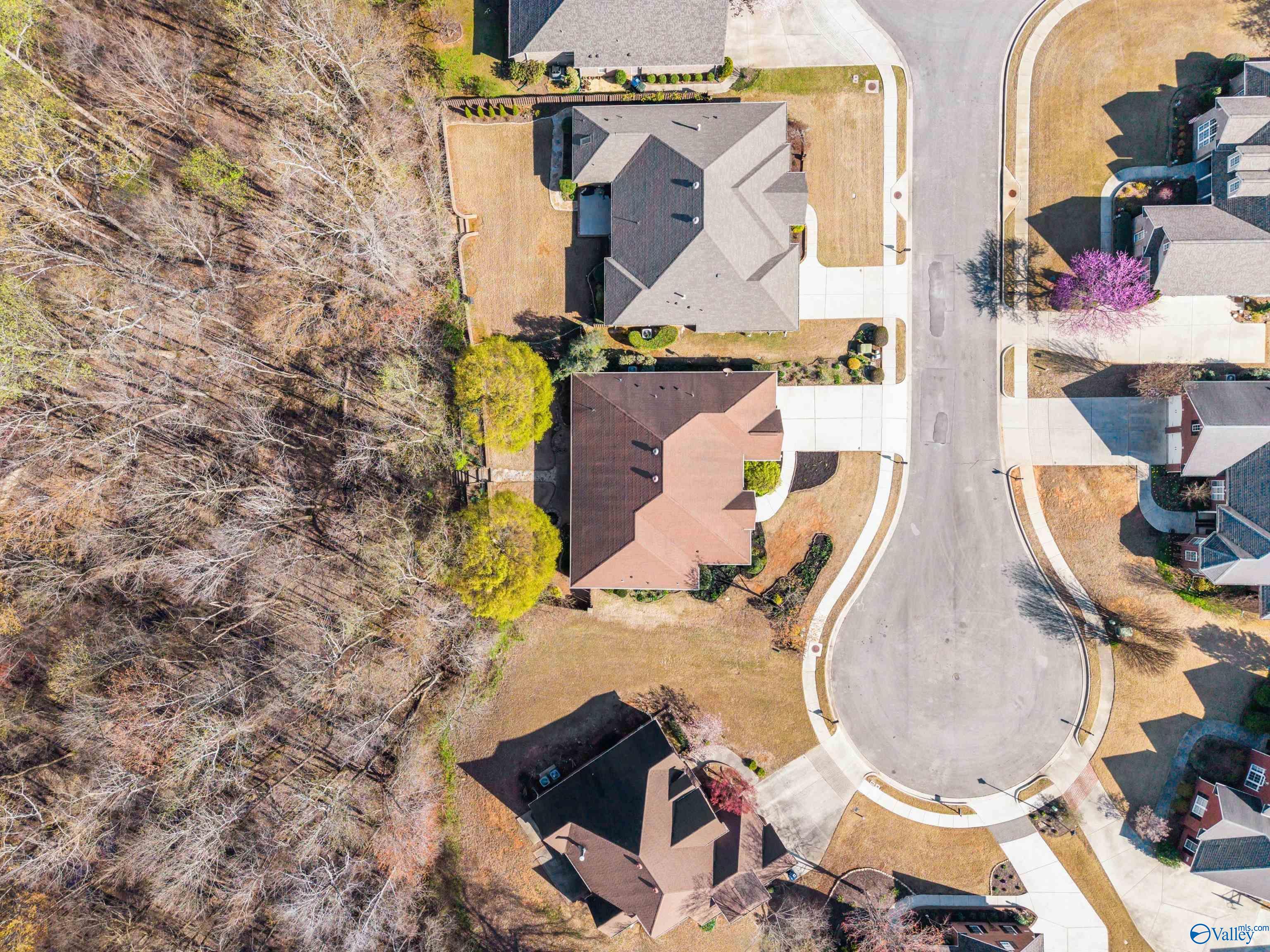 120 Tailwind Court, Madison, Alabama image 37