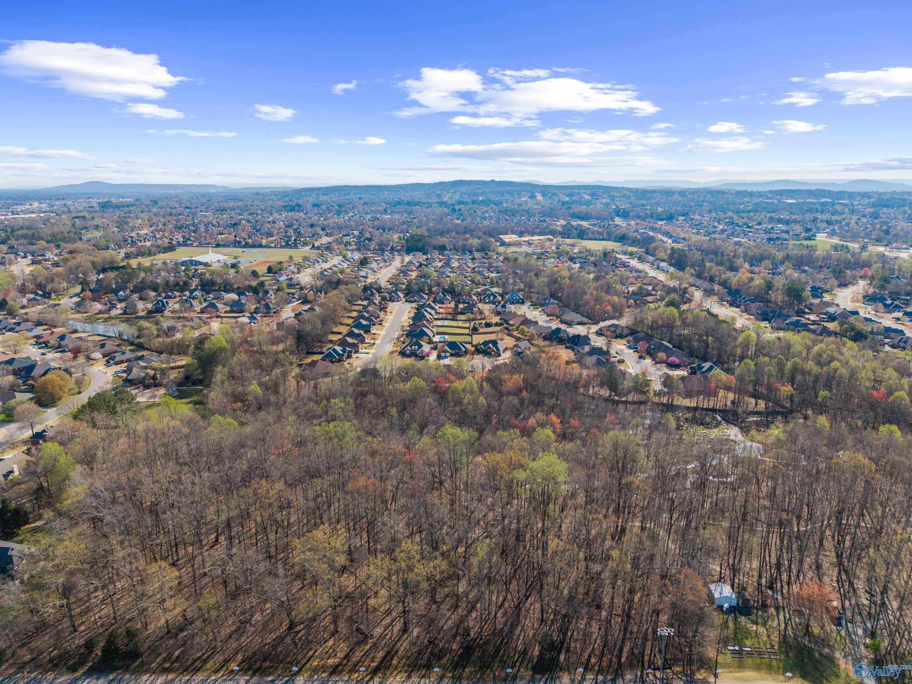 120 Tailwind Court, Madison, Alabama image 46