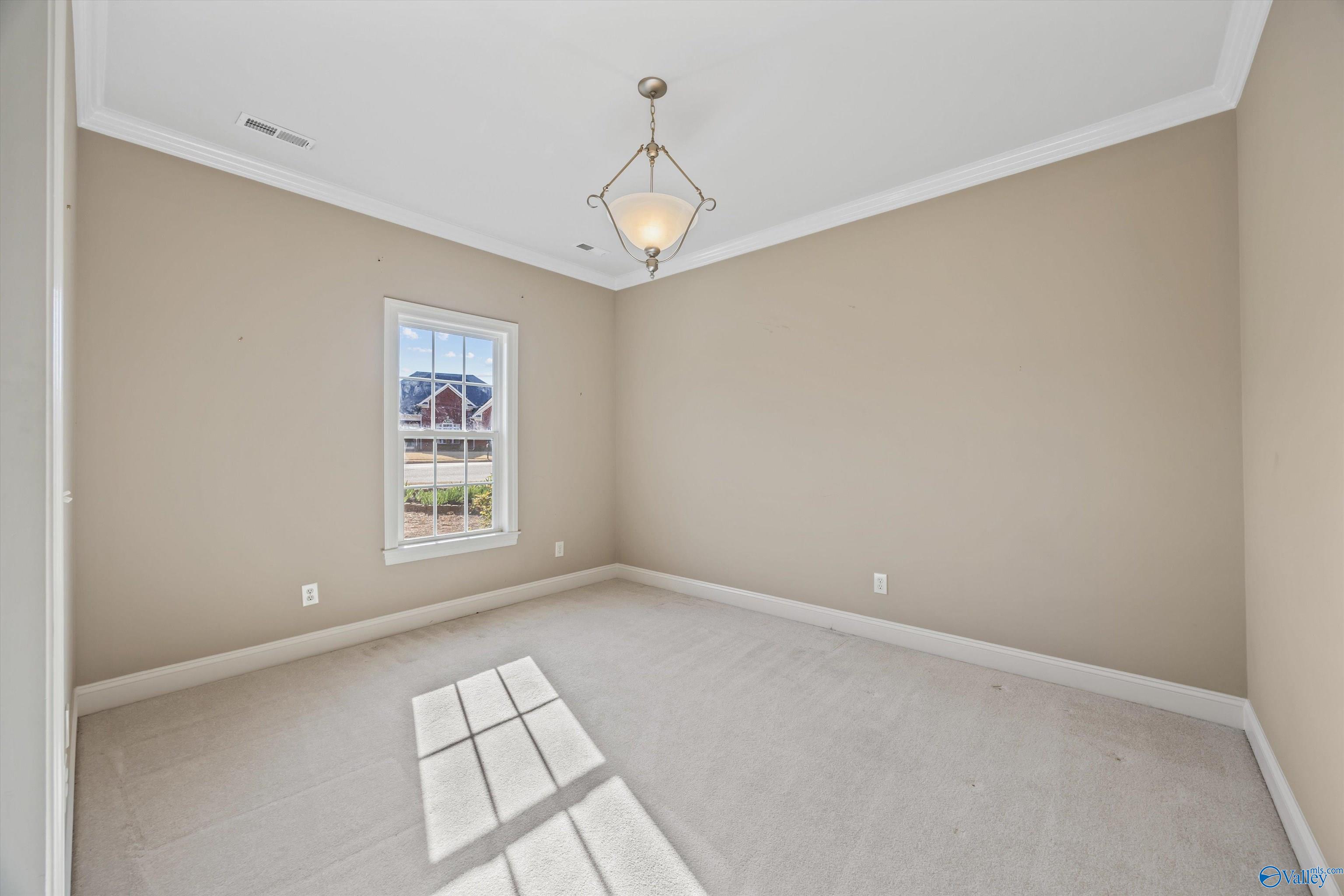 120 Tailwind Court, Madison, Alabama image 9