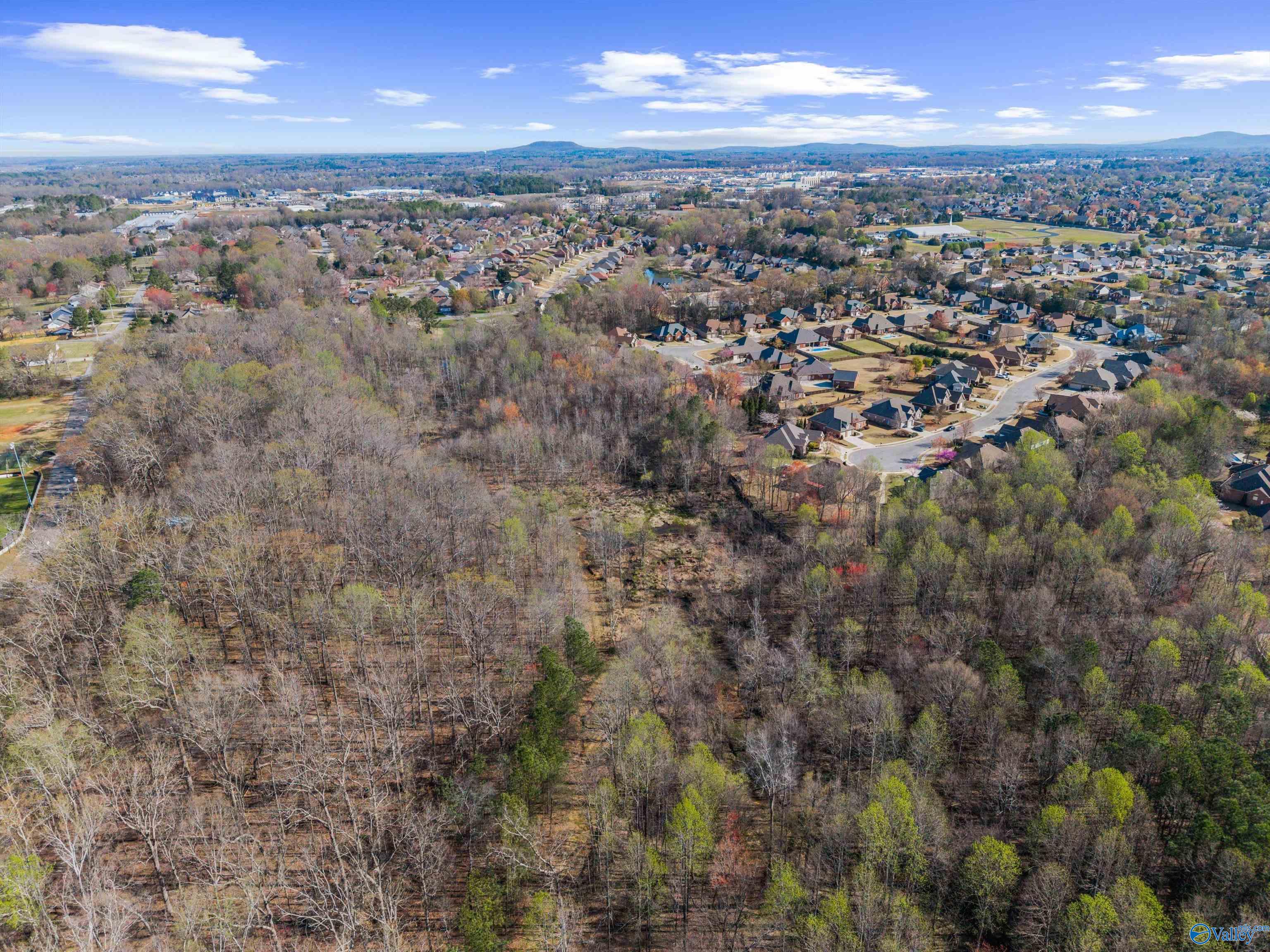 120 Tailwind Court, Madison, Alabama image 48