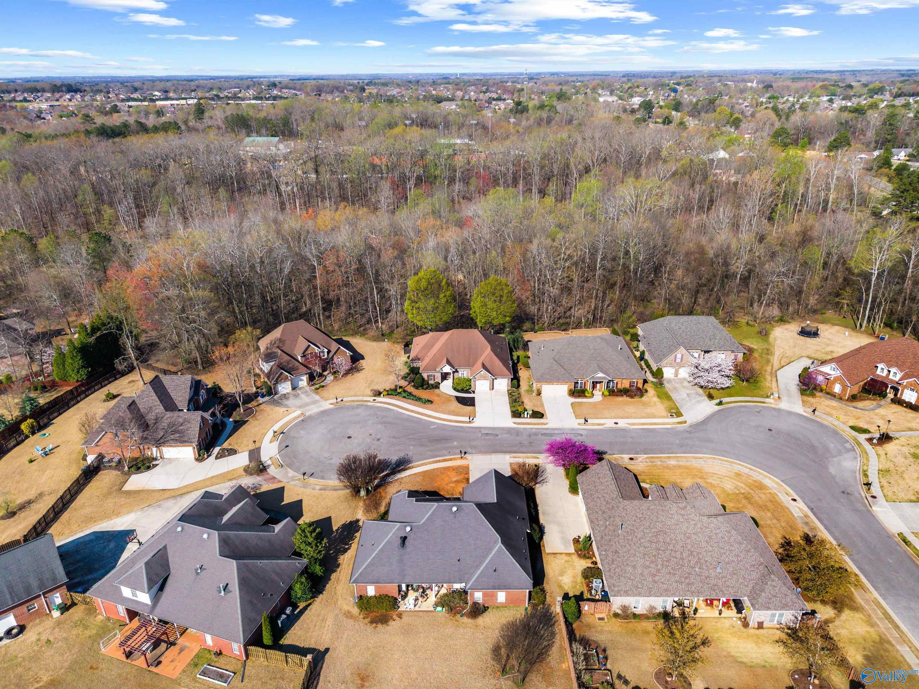 120 Tailwind Court, Madison, Alabama image 39