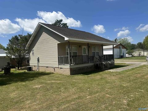 Homes For Sale - 100 Wilks Lane<br/> Henagar, AL 35978